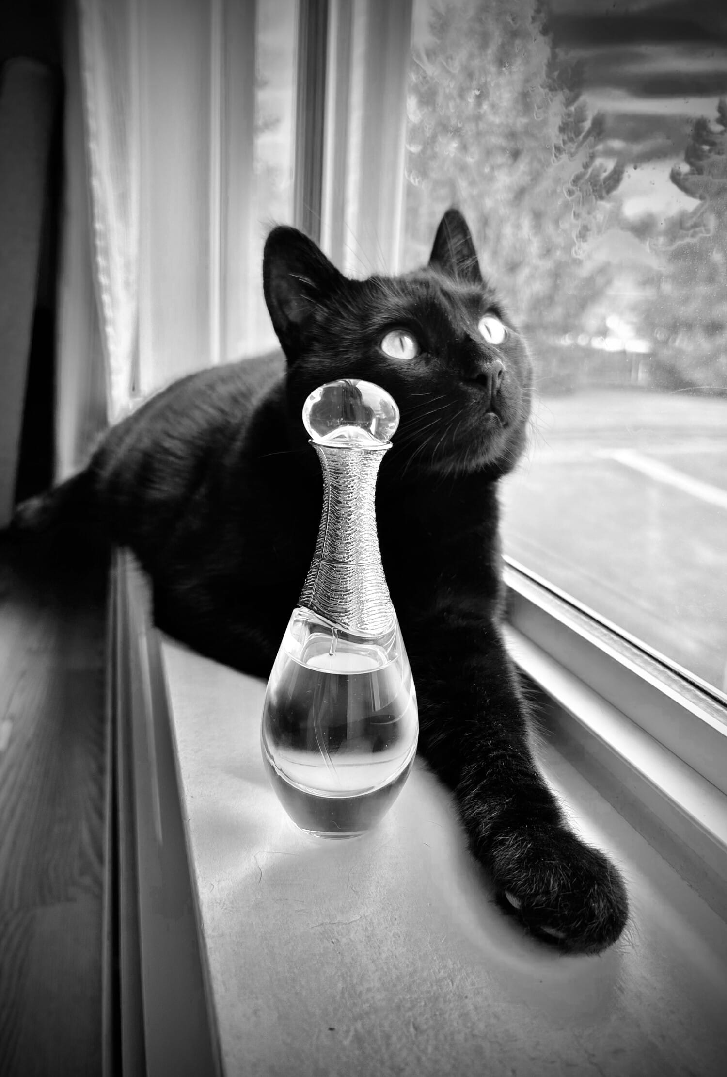 J'adore, bottle, angle