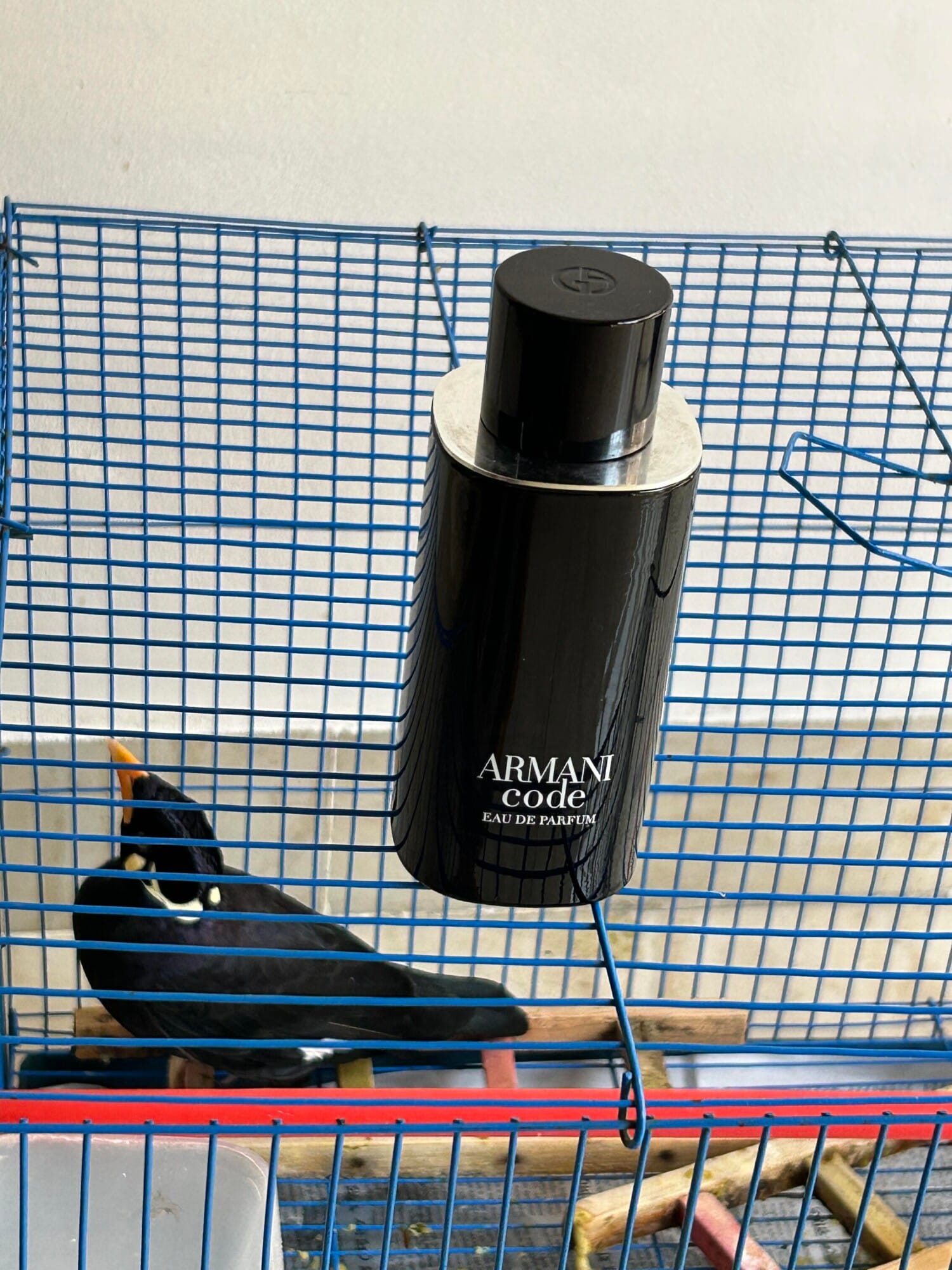 Armani Code Eau de Parfum (2024), view