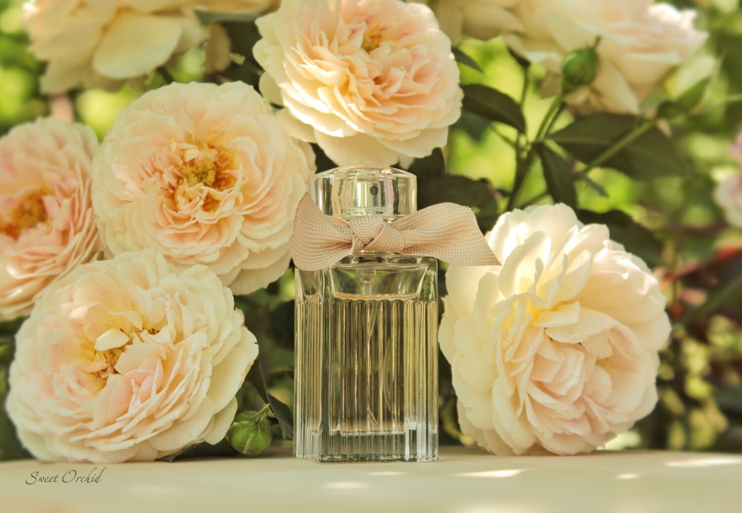 Chloé Eau de Parfum, view