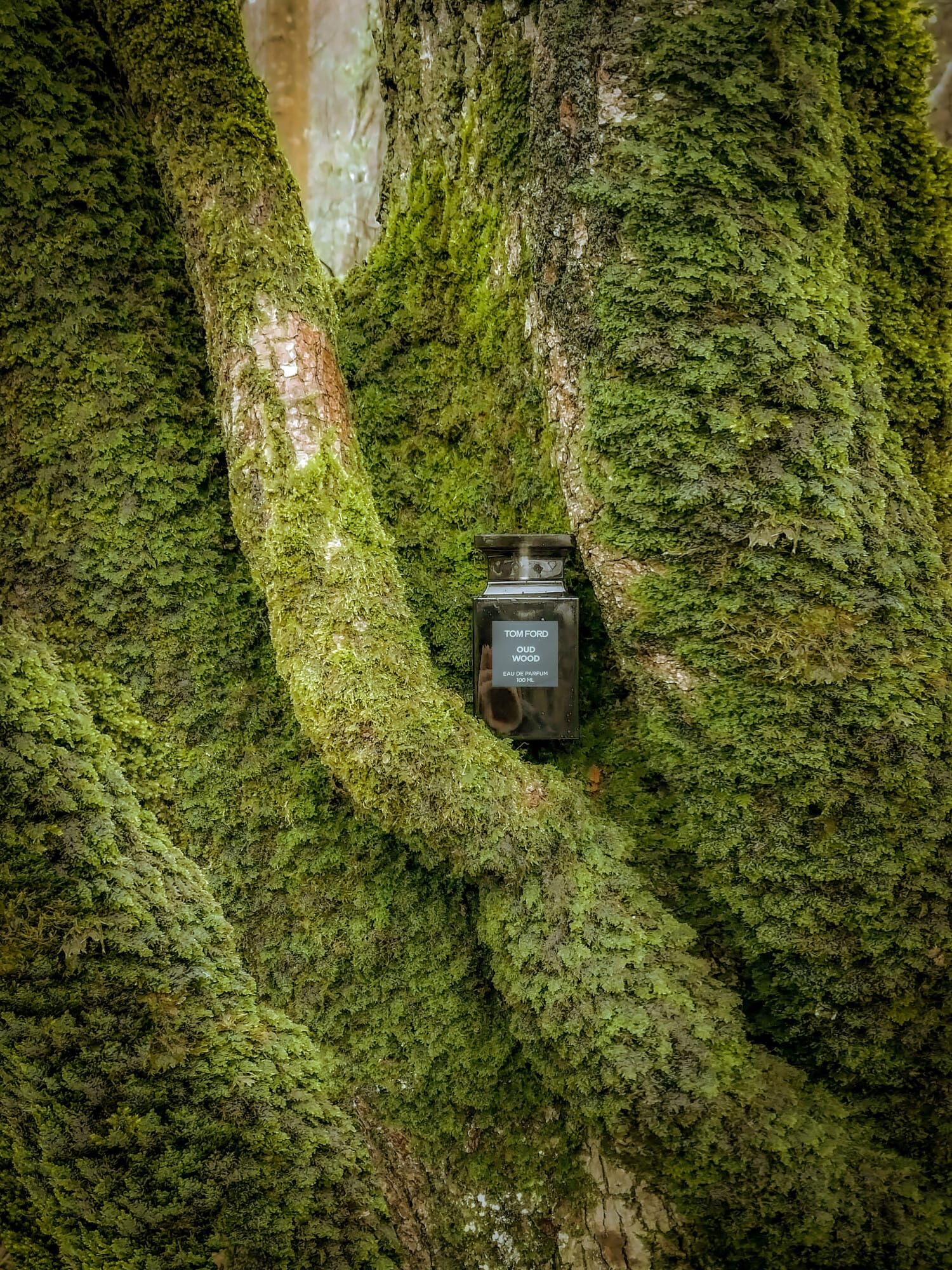 Oud Wood, on-skin / lifestyle