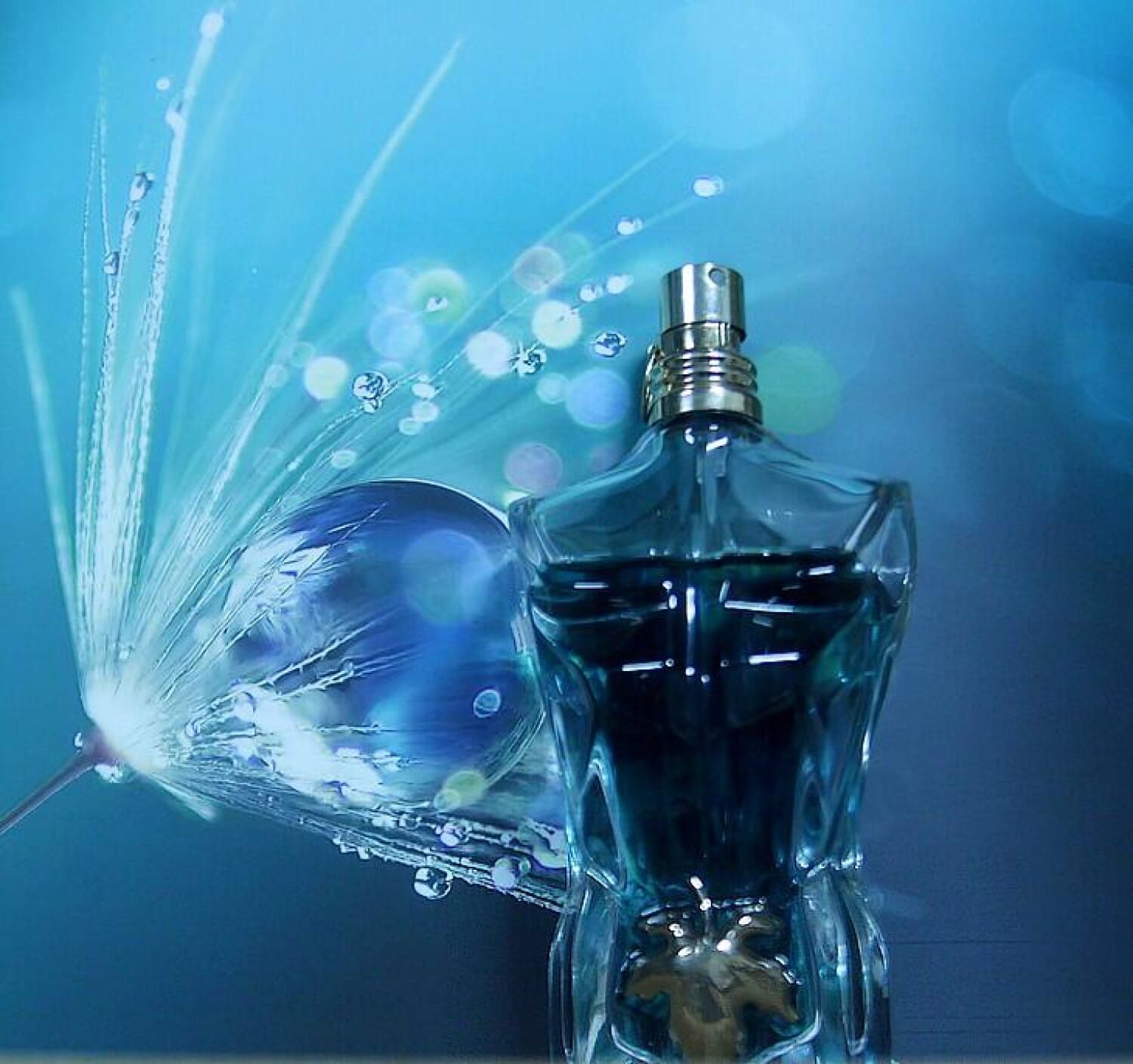 Le Beau Le Parfum, on-skin / lifestyle