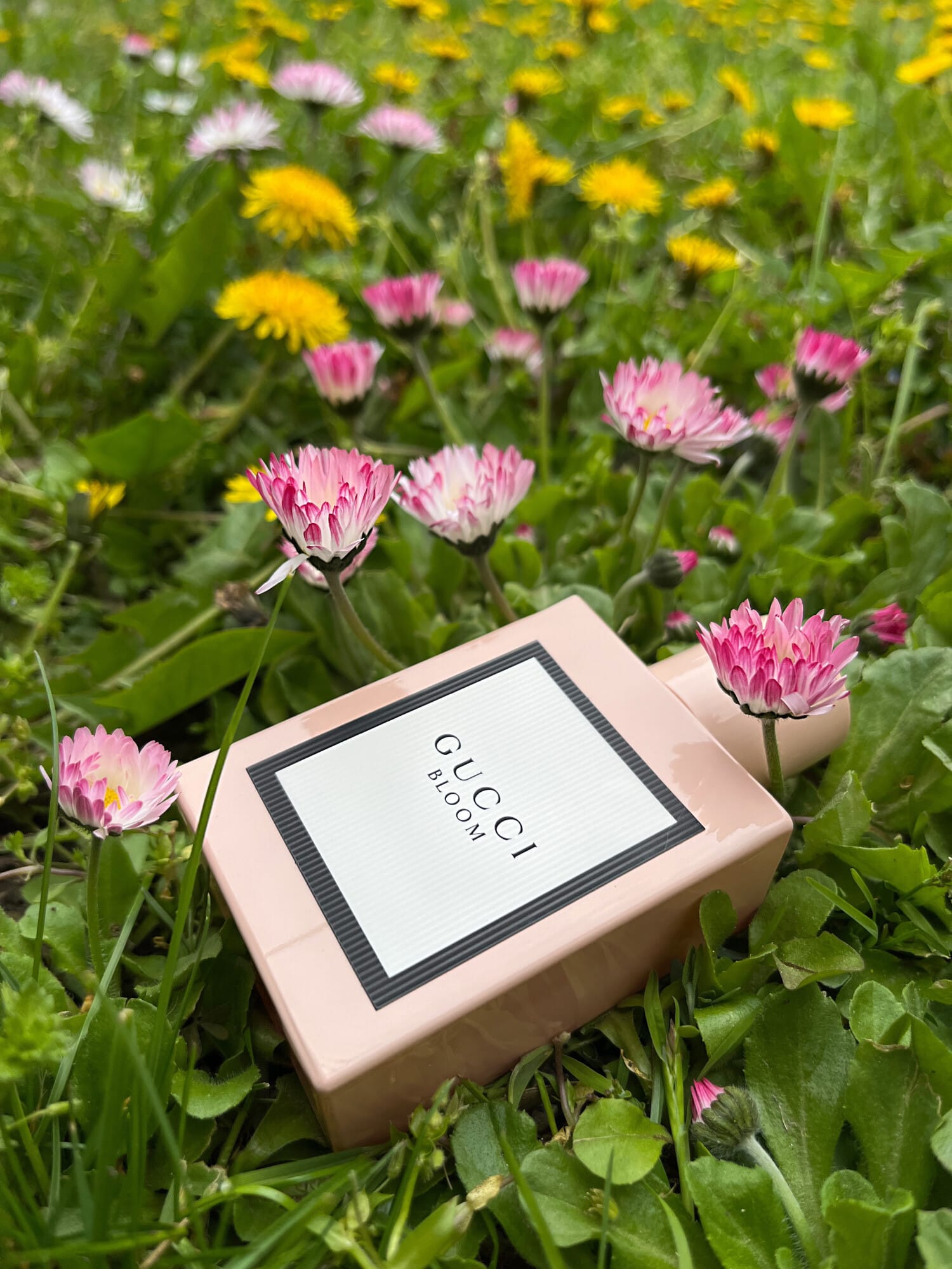 Gucci Bloom, view