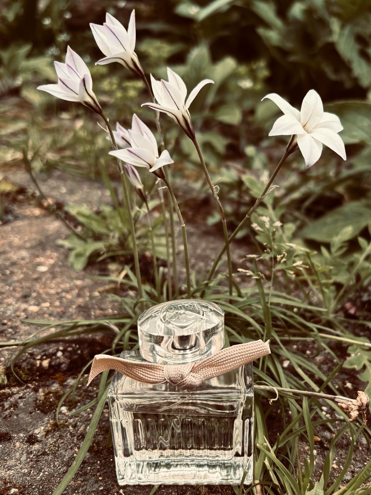 Chloé Eau de Parfum, view