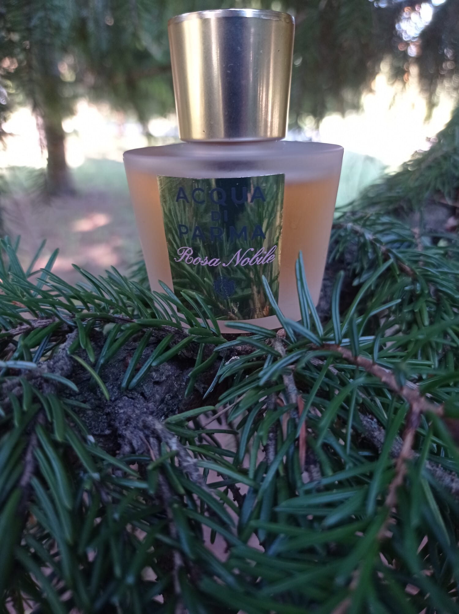 Rosa Nobile Hair Mist, decant + box
