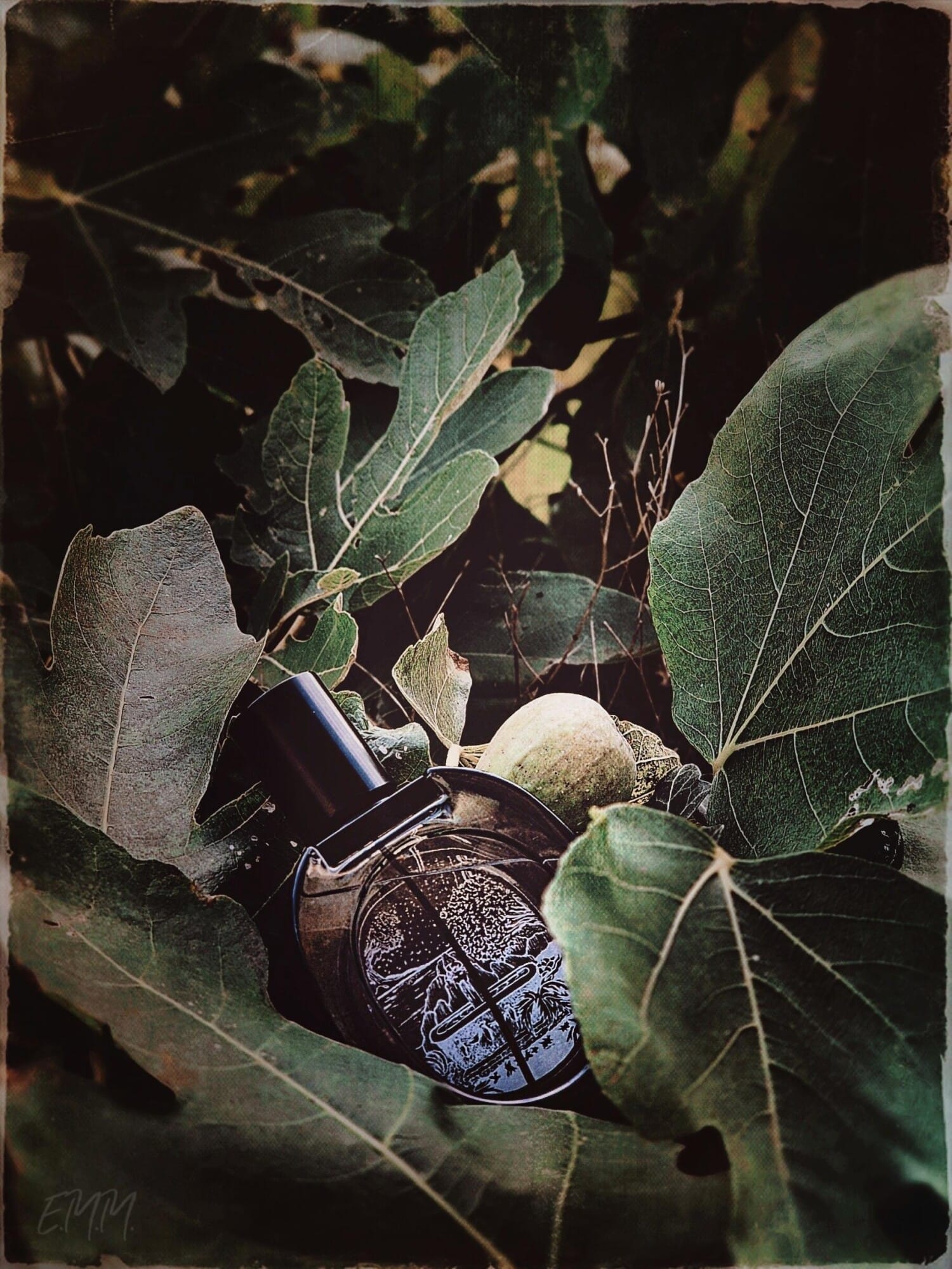 Philosykos Eau de Parfum, bottle, angle