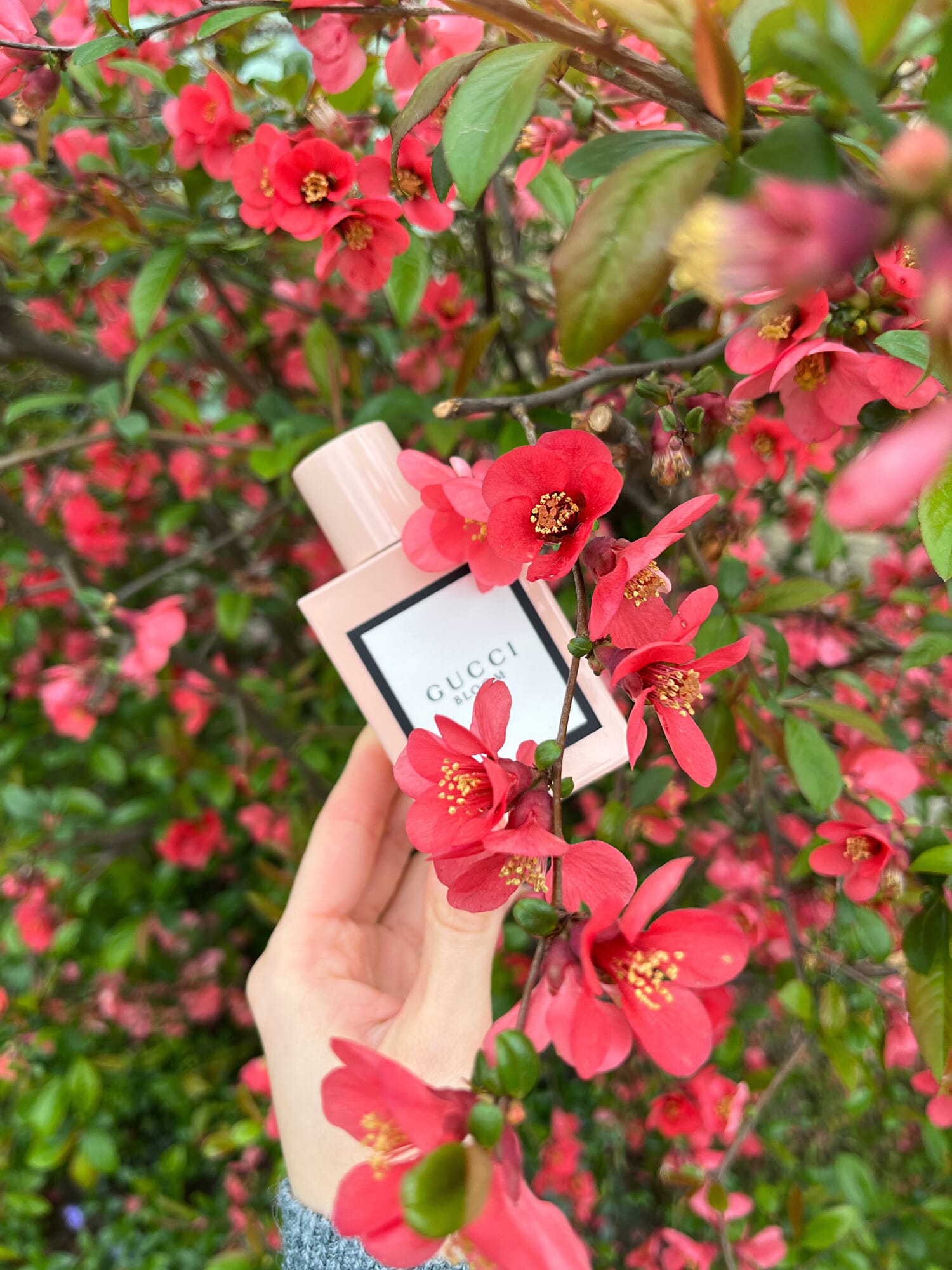 Gucci Bloom, view