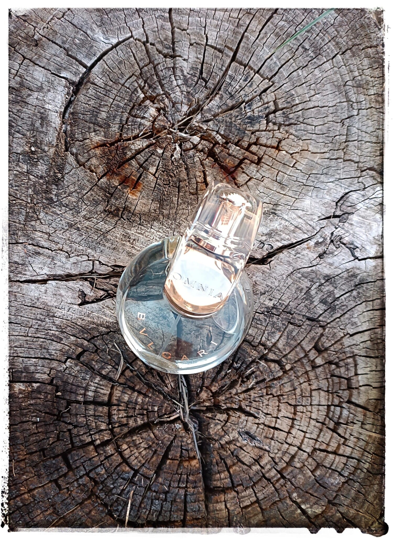 Omnia Crystalline, bottle, angle