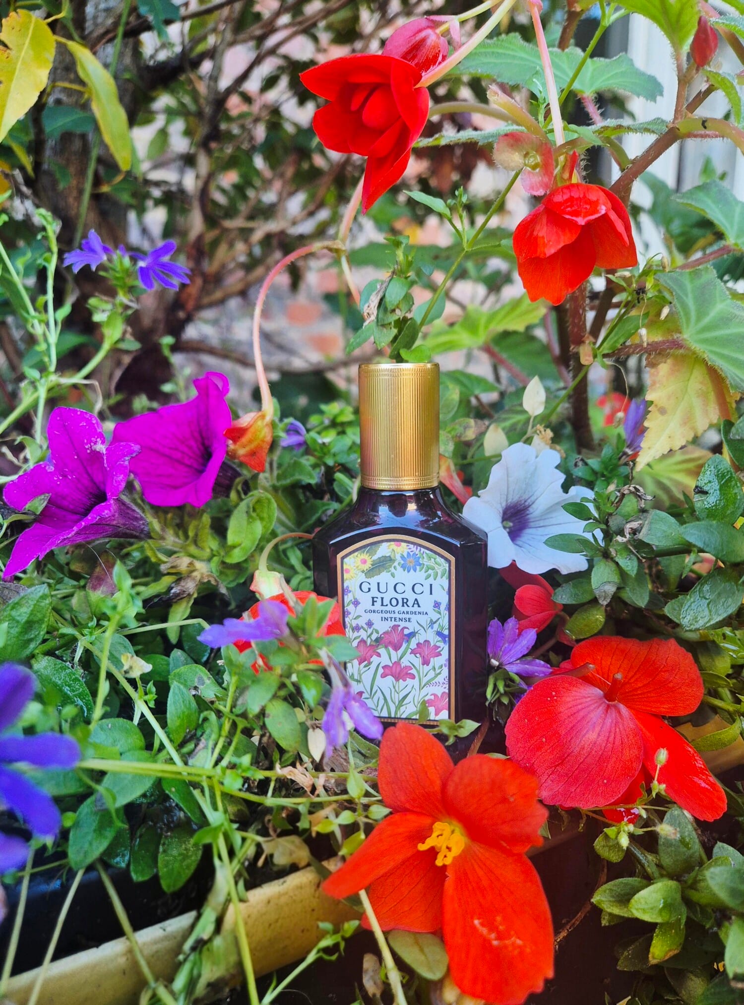 Flora Gorgeous Gardenia Intense, decant + box