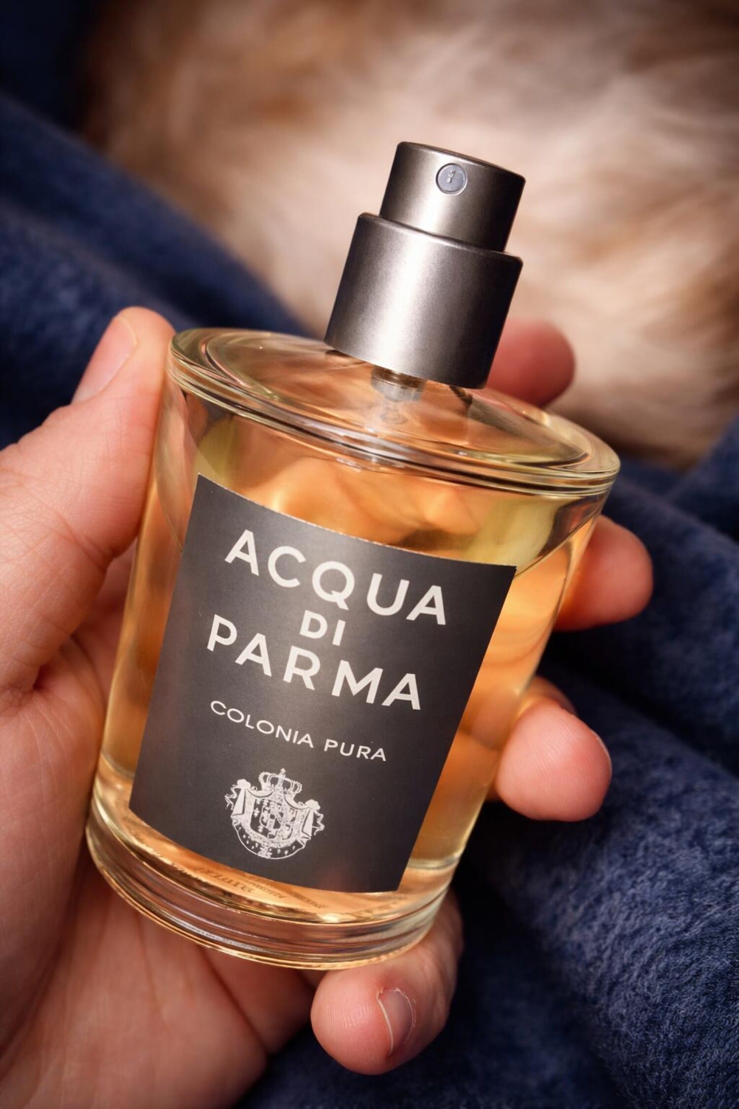 Acqua di Parma Colonia Pura, bottle, angle