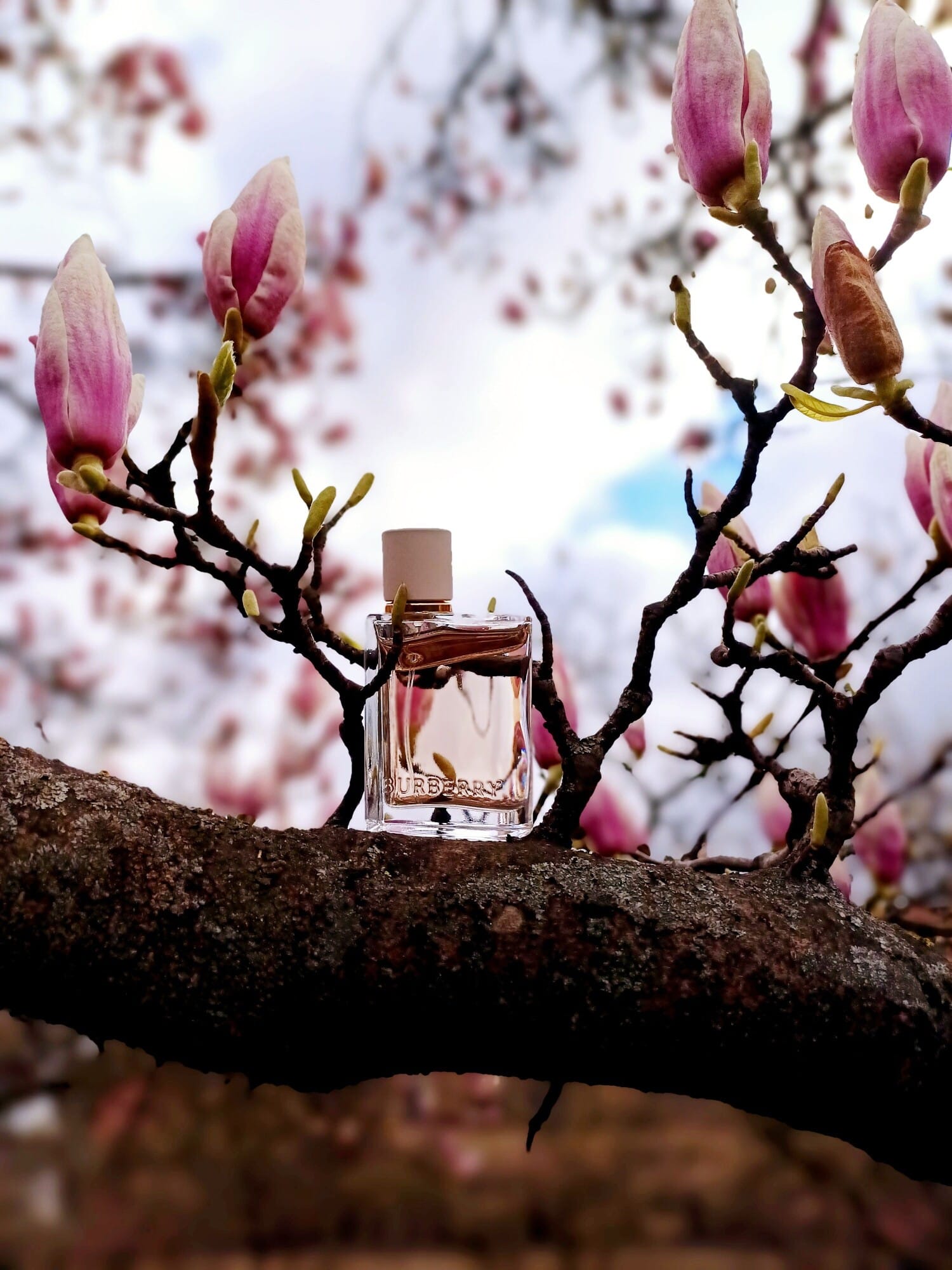 Burberry Her, bottle, angle