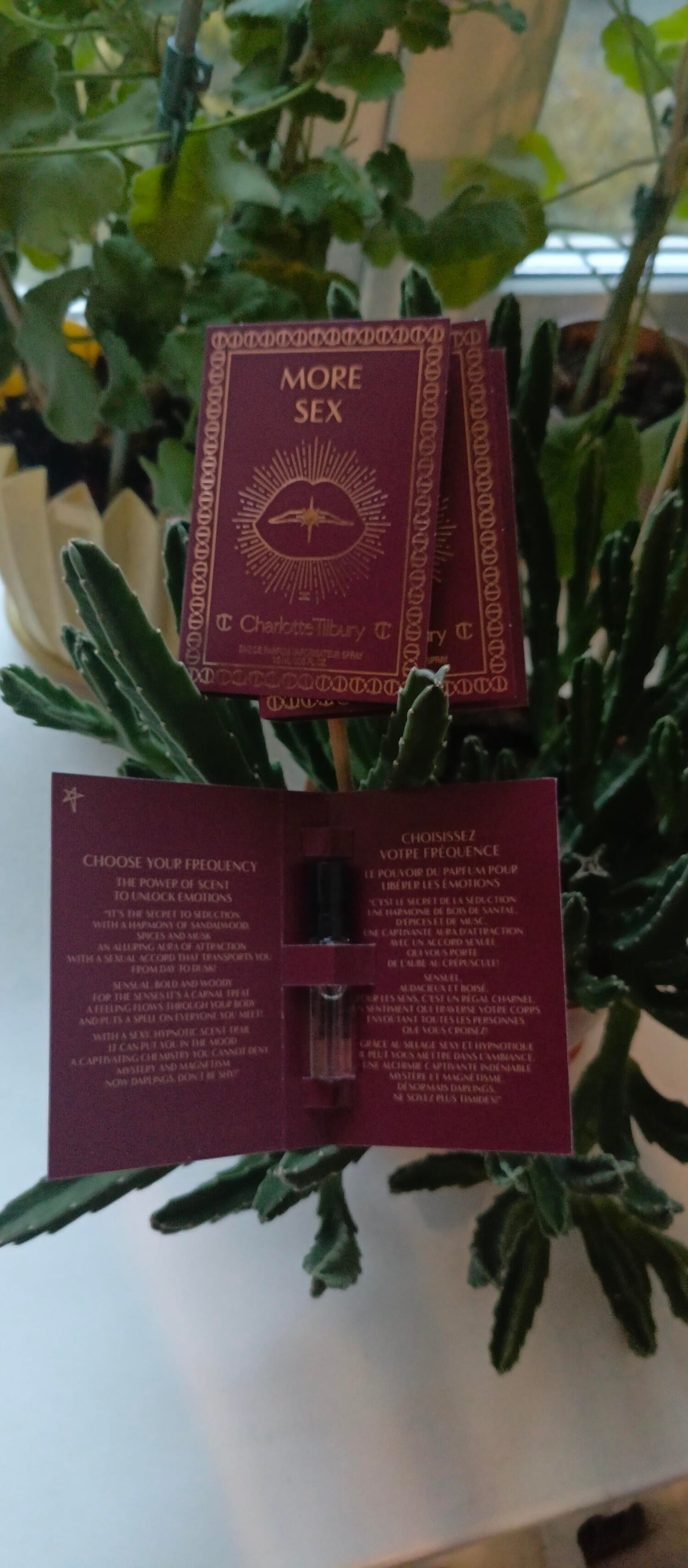 Gentleman Society Eau de Parfum Extrême, on-skin / lifestyle